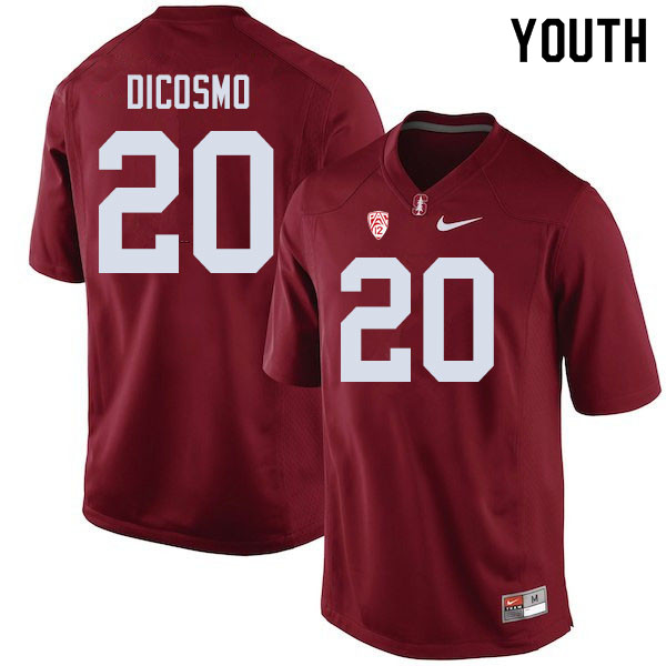 Youth #20 Aeneas DiCosmo Stanford Cardinal College Football Jerseys Sale-Cardinal - Click Image to Close